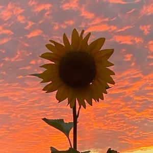 Meet your Posher, Abbi